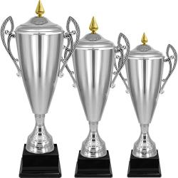 Кубок Владияр Кубок Владияр