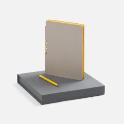 Набор Flexpen Grey, желтый