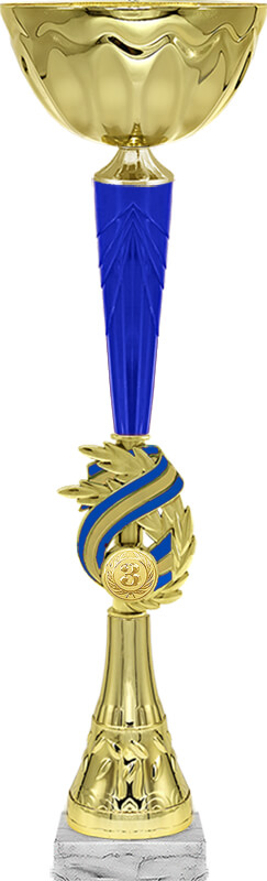 Кубок Стайл 3 место