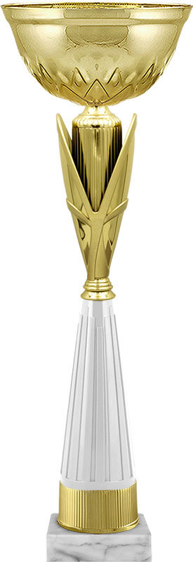 Кубок Асель