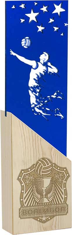 Награда волейбол