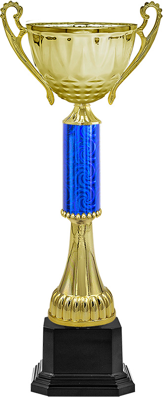 Кубок Камилла