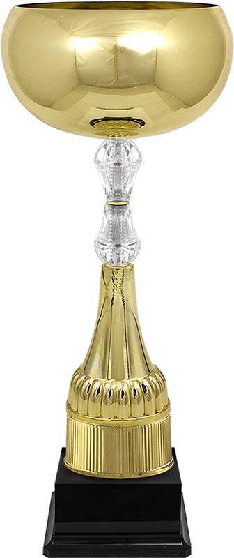 Кубок Иствуд