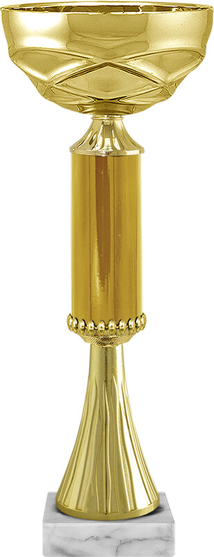 Кубок Айран