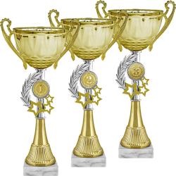 Кубок Ричик 3 место Кубок Ричик 3 место