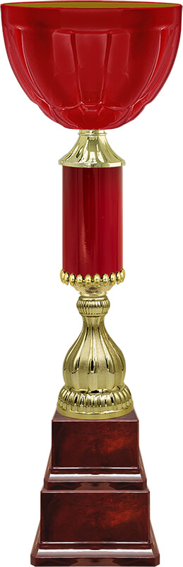 Кубок Квинтин