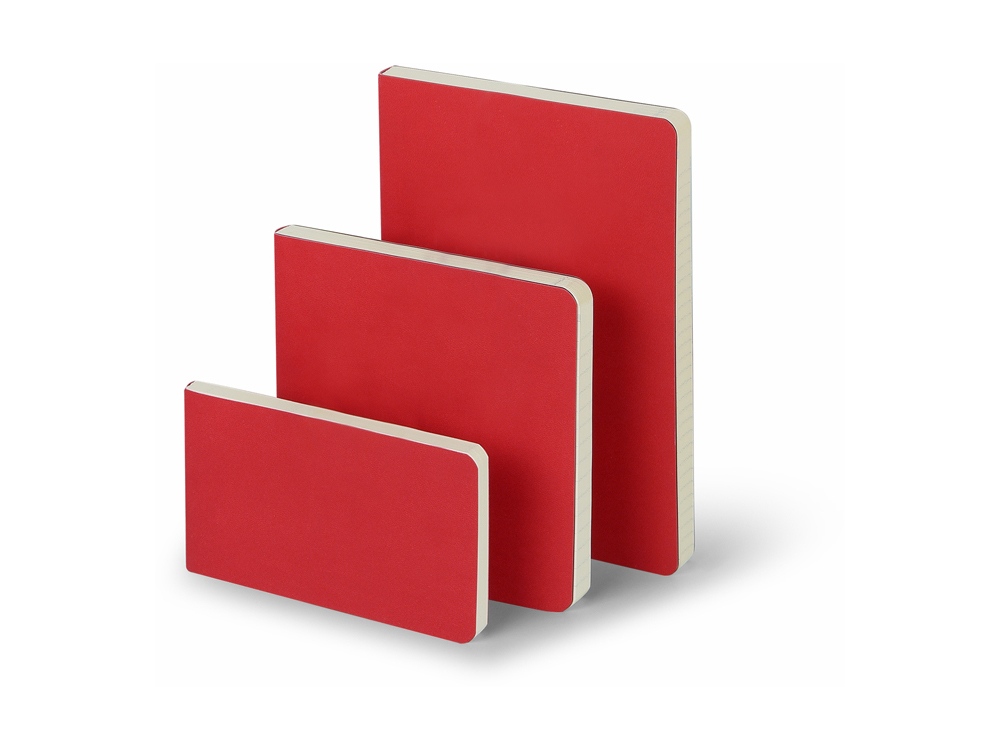 Ежедневник А5 недатированный Megapolis Flex, красный