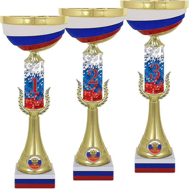 Кубок Мэтр 3 место