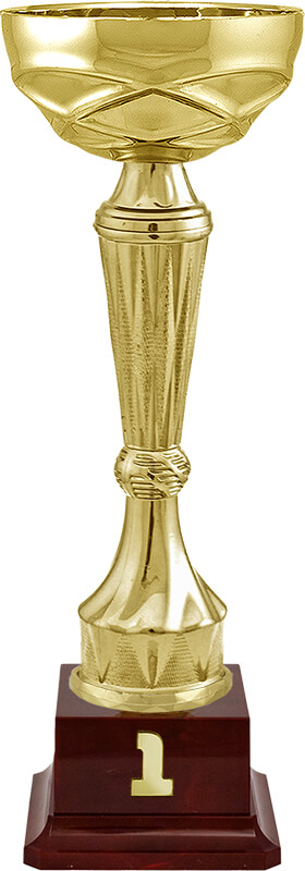 Кубок Спарт 1 место