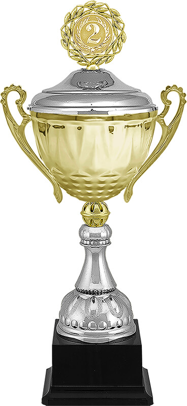 Кубок Георг 2 место