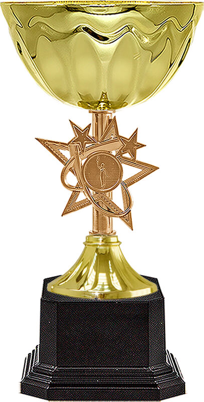 Кубок Айли (под бронзу)