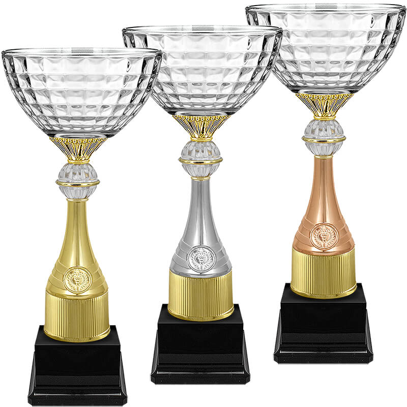 Кубок Ньютон