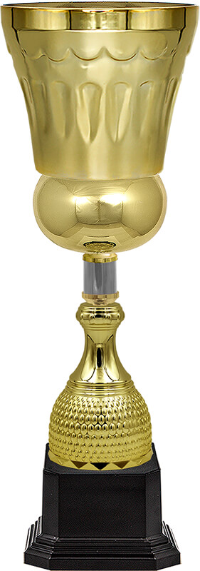 Кубок Штольц (под серебро)