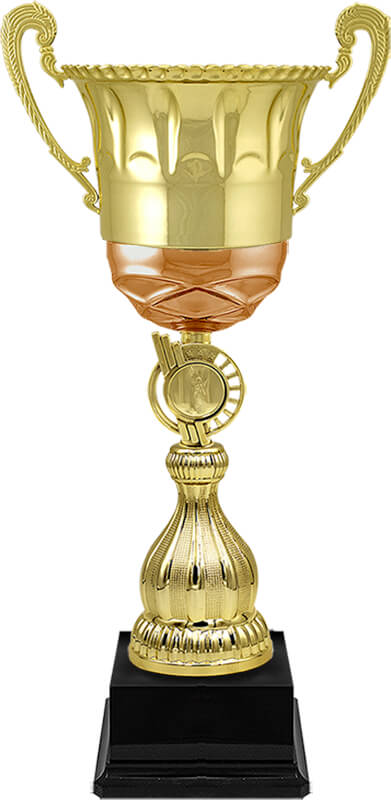 Кубок Джиди