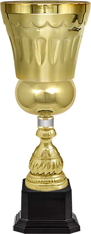 Кубок Штольц сер