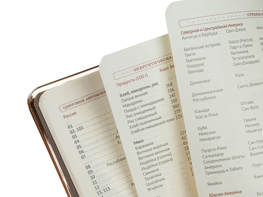 Ежедневник А5 недатированный Chelsea, красный (золотистый кант и срез) (Р) Ежедневник А5 недатированный Chelsea, красный (золотистый кант и срез) (Р)