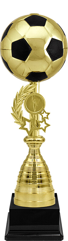 Кубок Брюнет