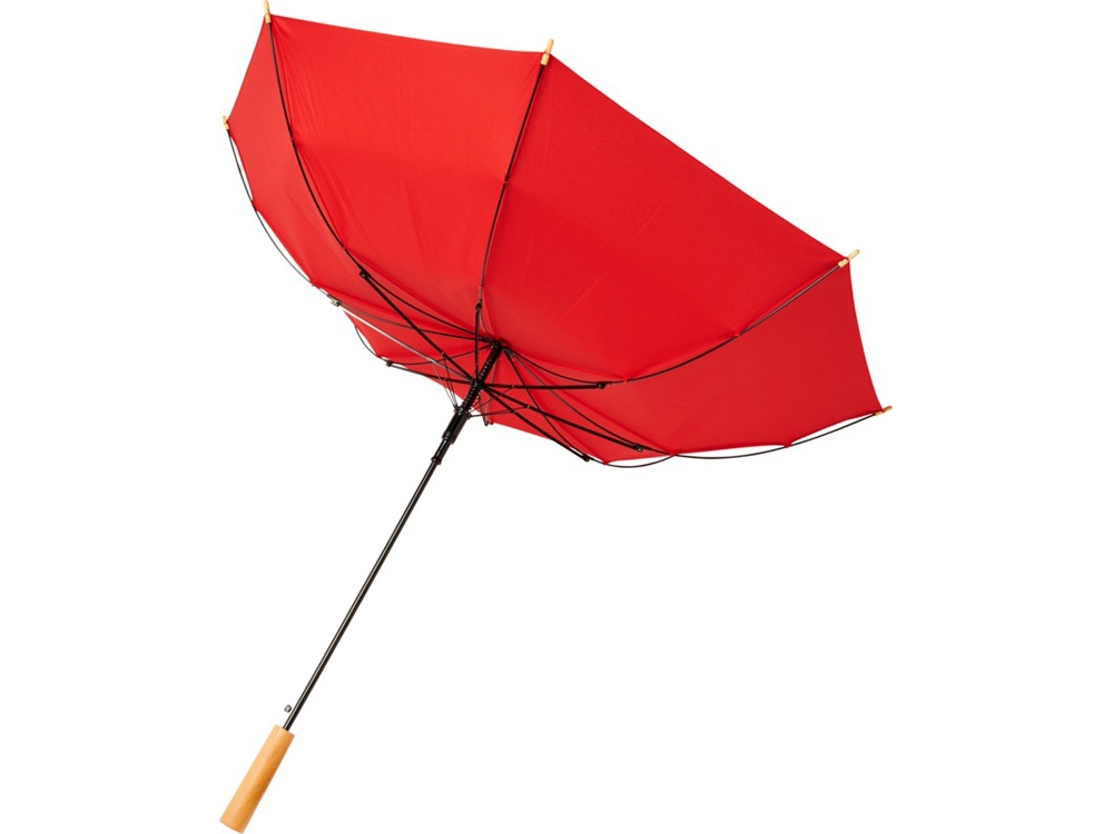 23-дюймовый автоматический зонт Alina из переработанного ПЭТ-пластика, красный