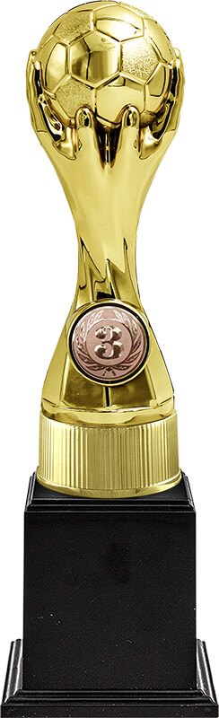 Награда-кубок 3 место