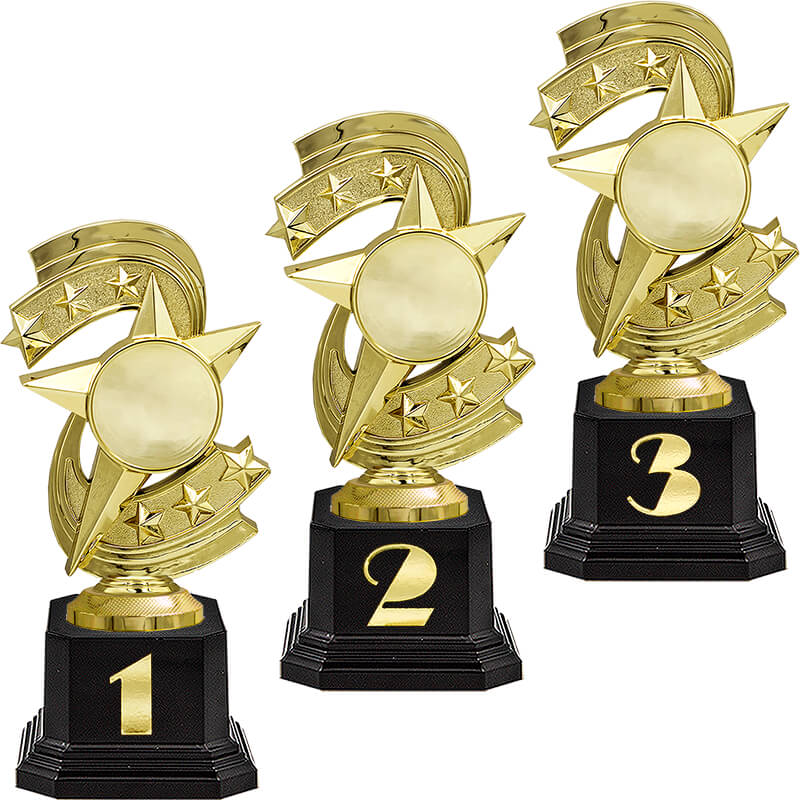 Награда 3 место