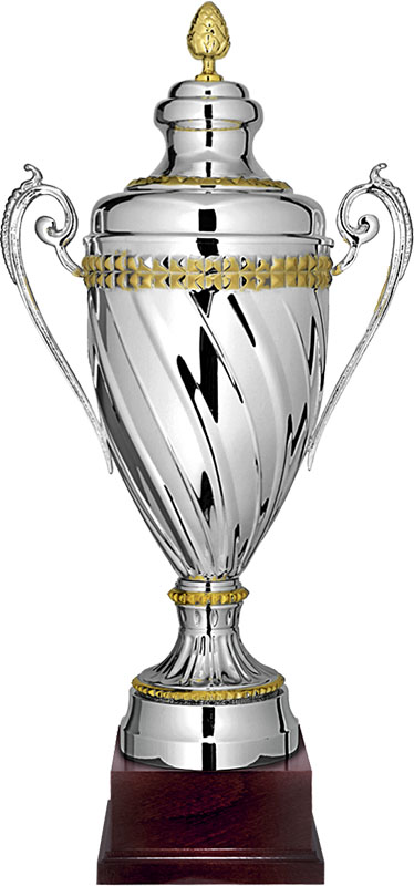 Кубок Люцерн