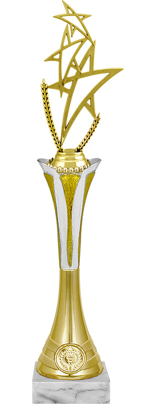 Награда Звезды