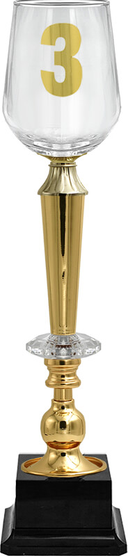 Кубок Агния 3 место