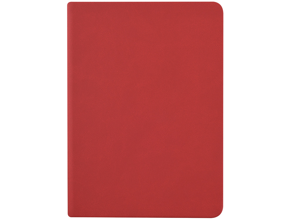 Ежедневник недатированный А6+ Megapolis Color, красный