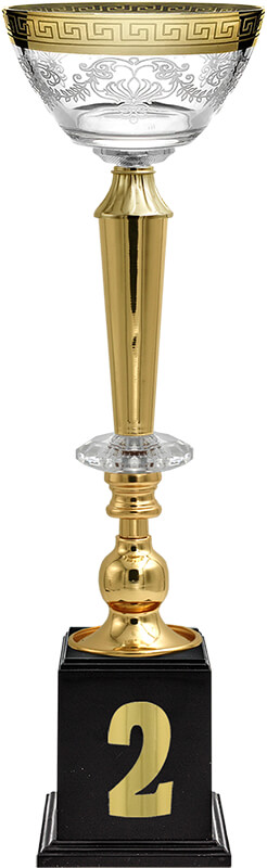 Кубок Эллея 2 место