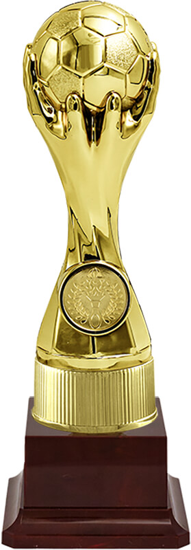 Награда футбол (бордовая)