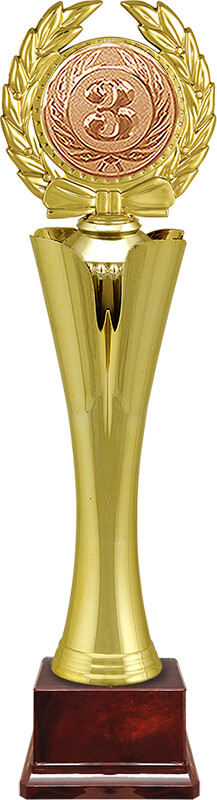 Награда 3 место