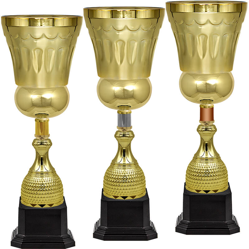 Кубок Штольц (под бронзу)