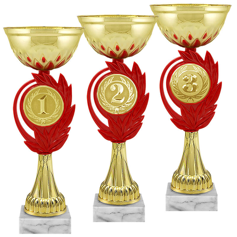 Кубок 3 место