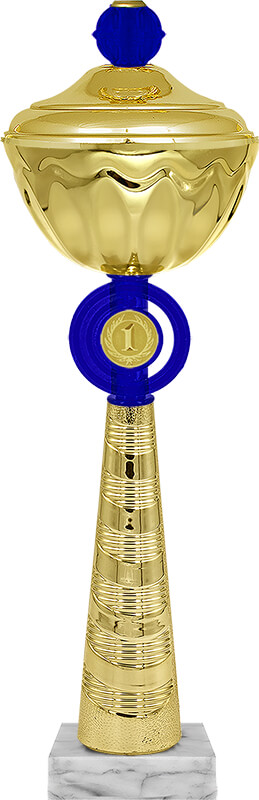 Кубок Василь 1 место