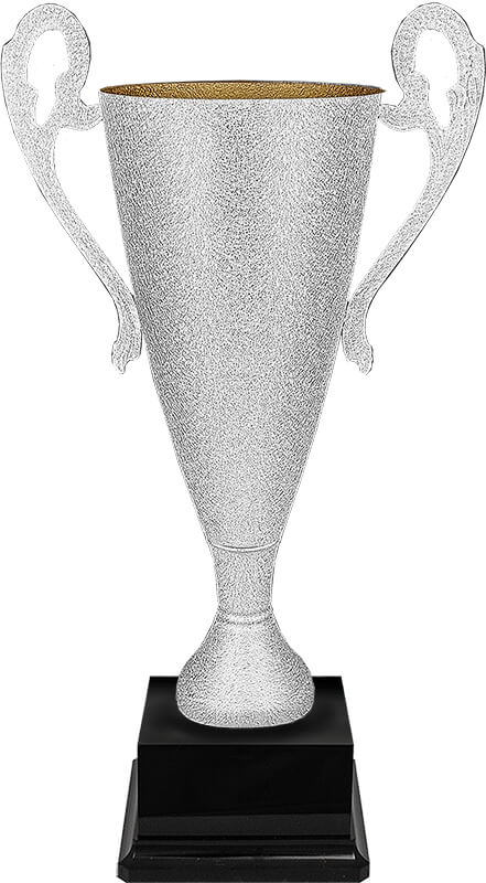 Кубок Буран Кубок Буран