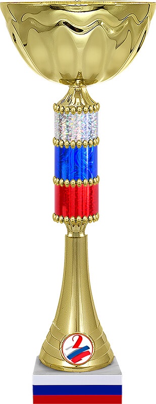 Кубок Капитон 2 место