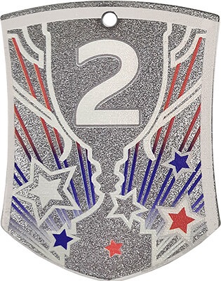 Медаль Инстер 2 место