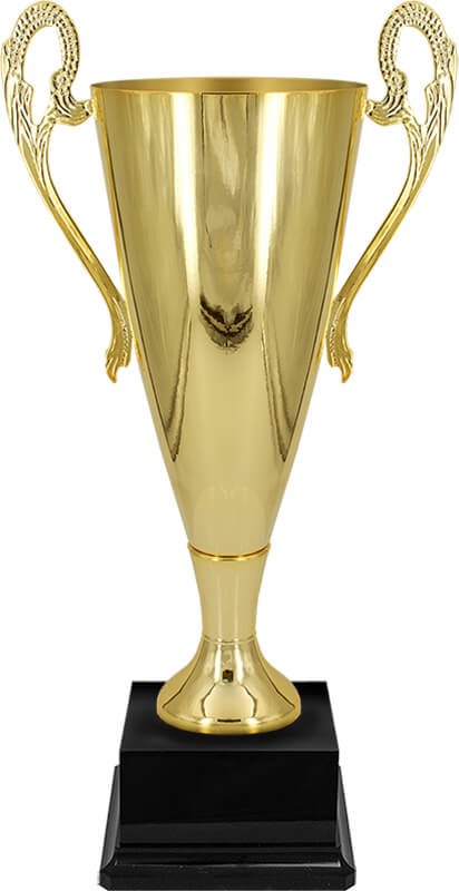 Кубок Паркер