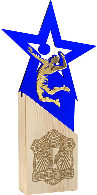 Награда волейбол