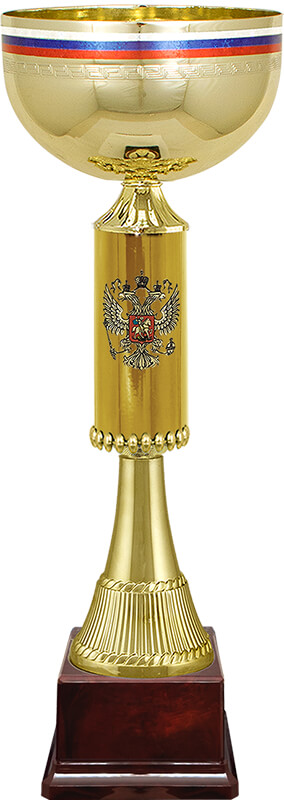 Кубок Артек