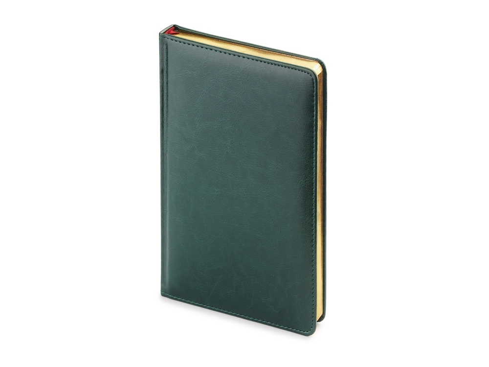 Ежедневник недатированный А4 Sidney Nebraska, зеленый (золотой обрез) (Р) Ежедневник недатированный А4 Sidney Nebraska, зеленый (золотой обрез) (Р)