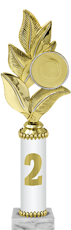 Награда 2 место