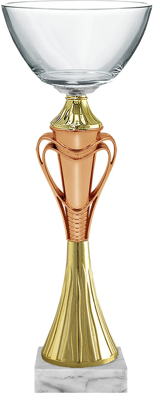 Кубок Элеганта (под бронзу)