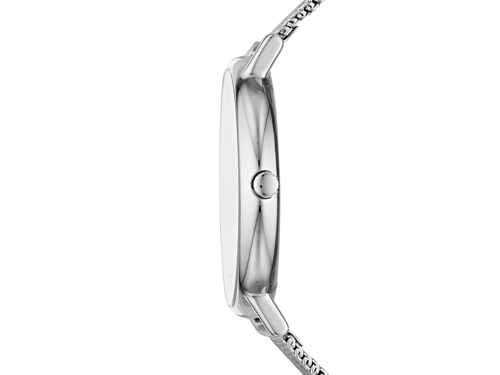 Часы наручные, женские. Skagen