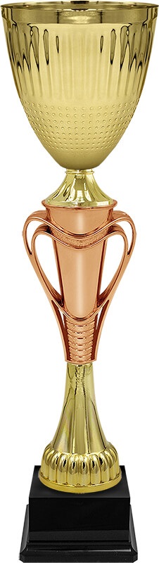 Кубок Тотти