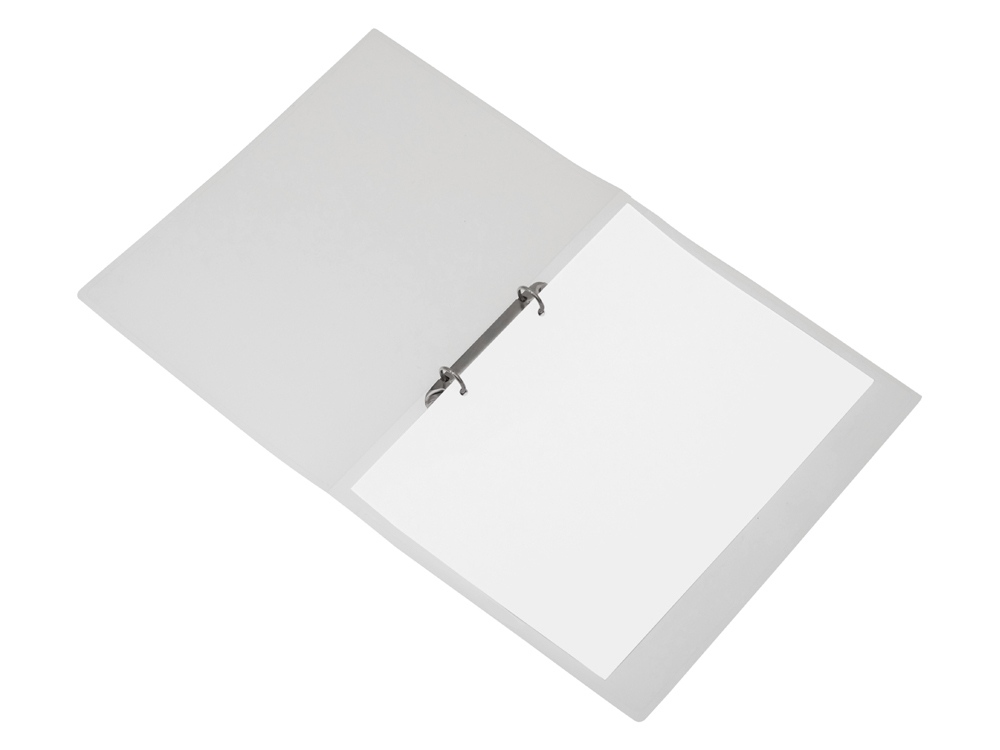 Папка пластиковая с 2 кольцами, прозрачный