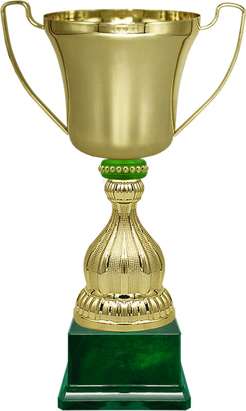 Кубок Миклухо