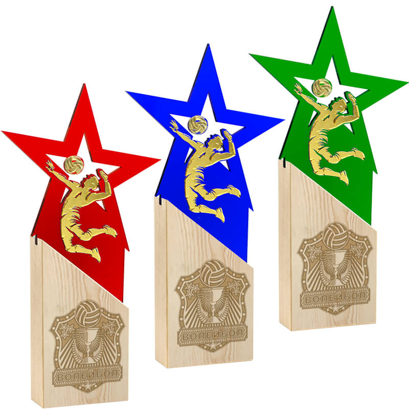 Награда волейбол