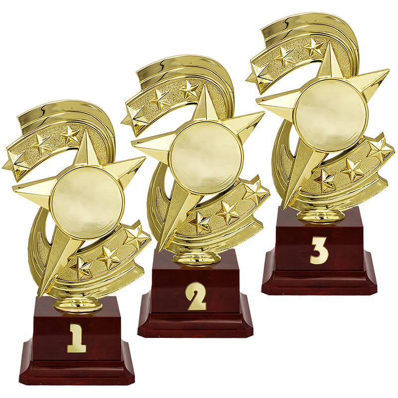 Награда 3 место