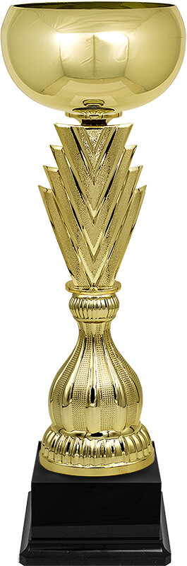 Кубок Зингер